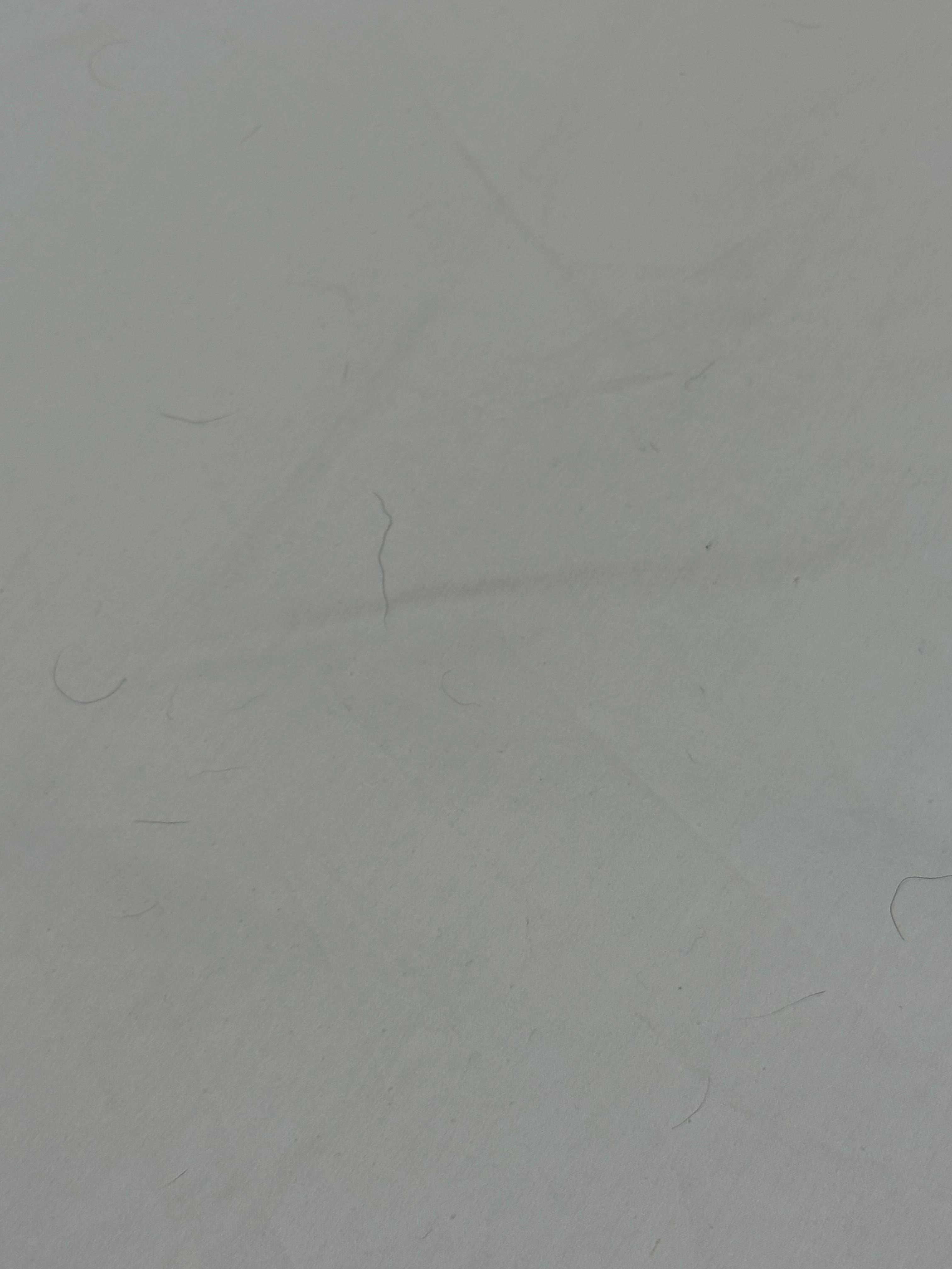 Only took a couple of pictures 