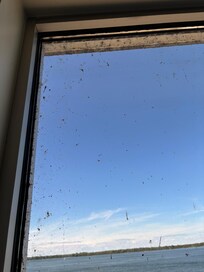 Dirty window