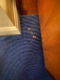 Strange spot on rug