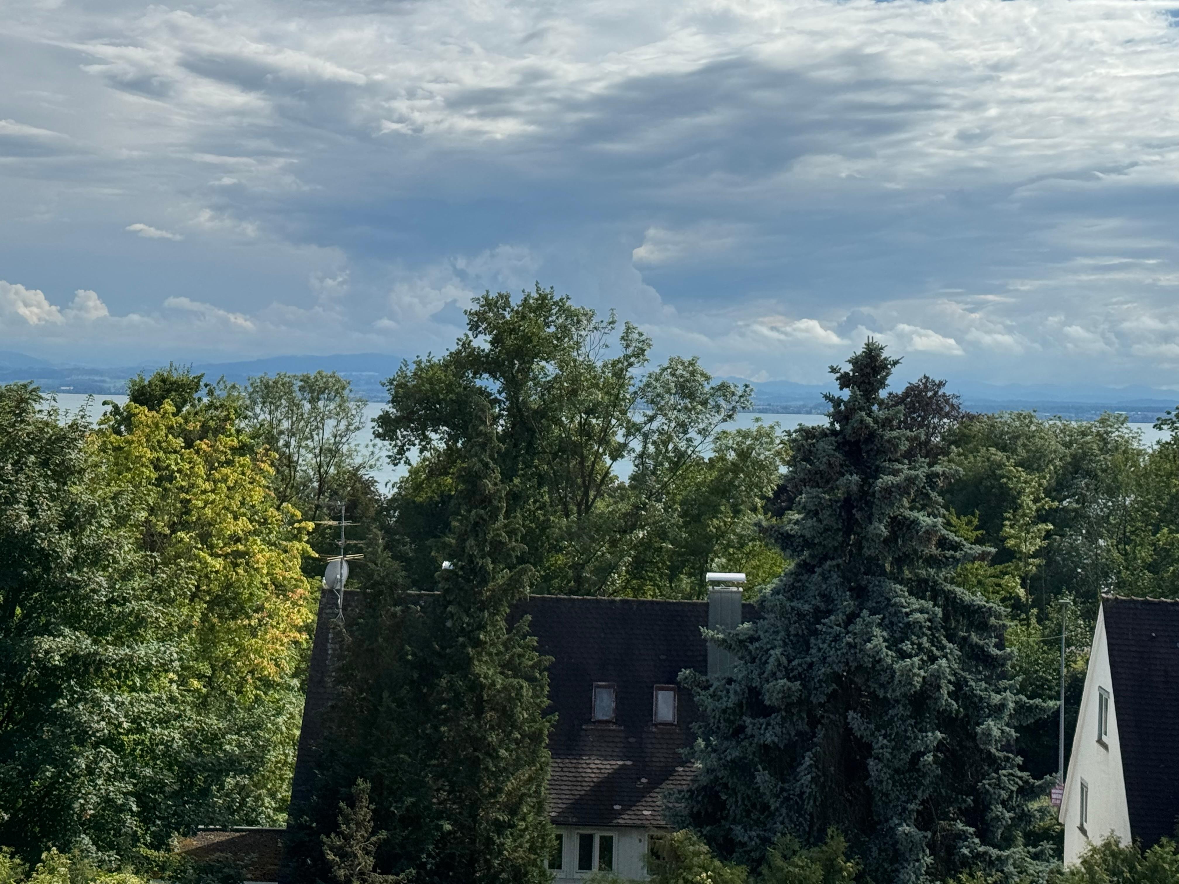 Ausblick