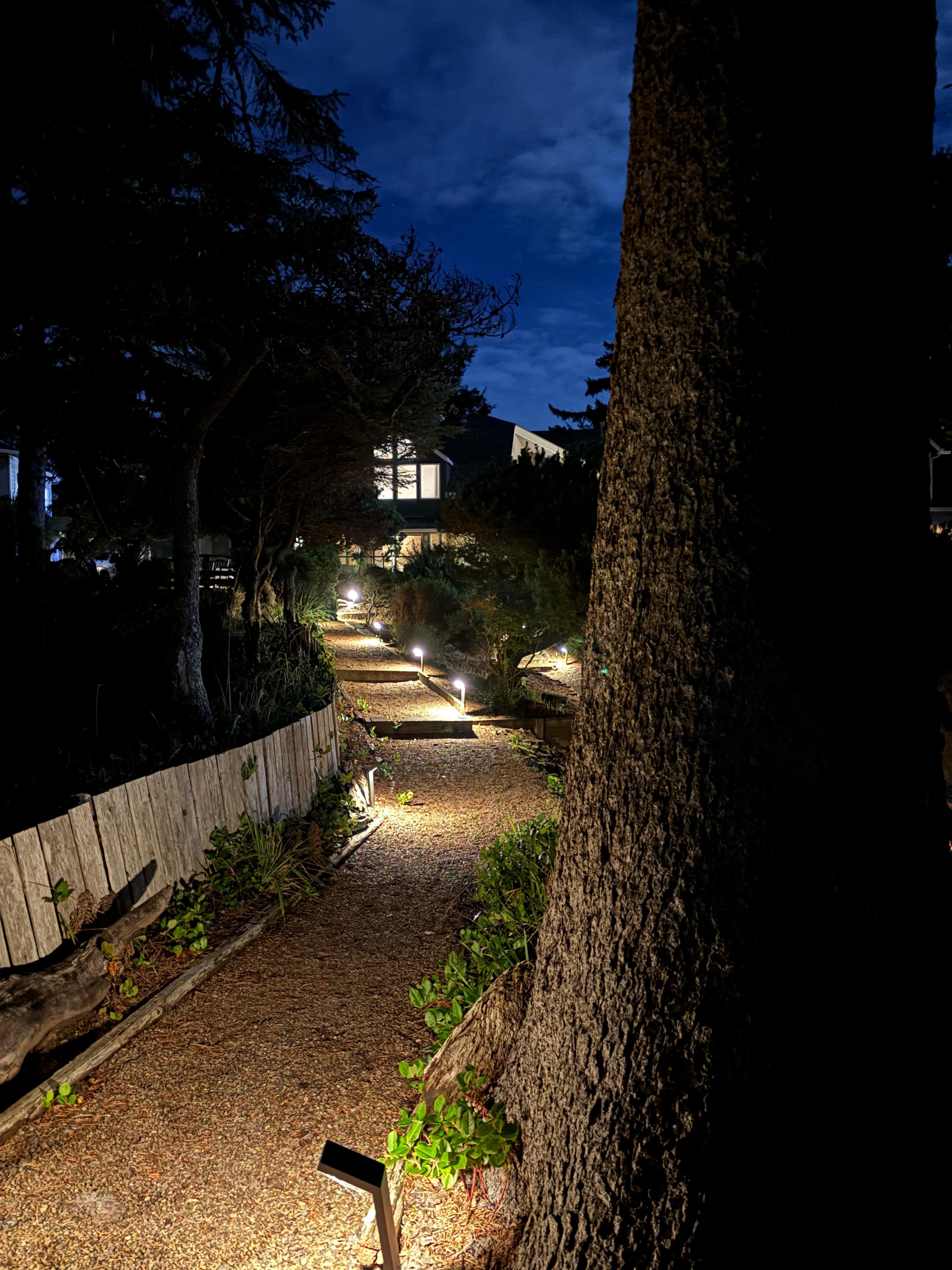 Path to the fire pit and down to the ocean.
