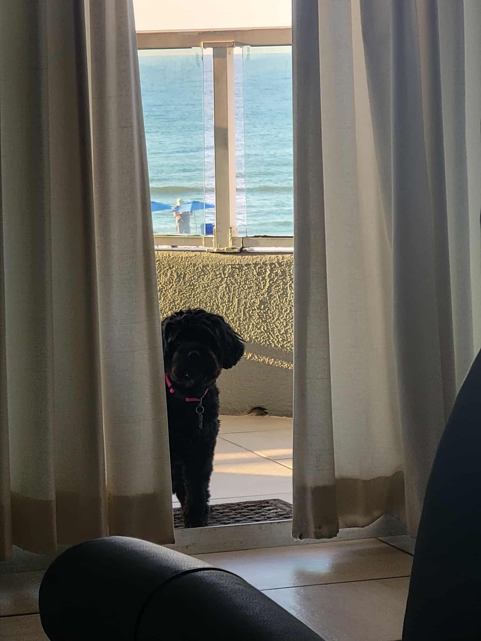 Enjoying the balcony 