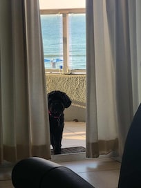 Enjoying the balcony