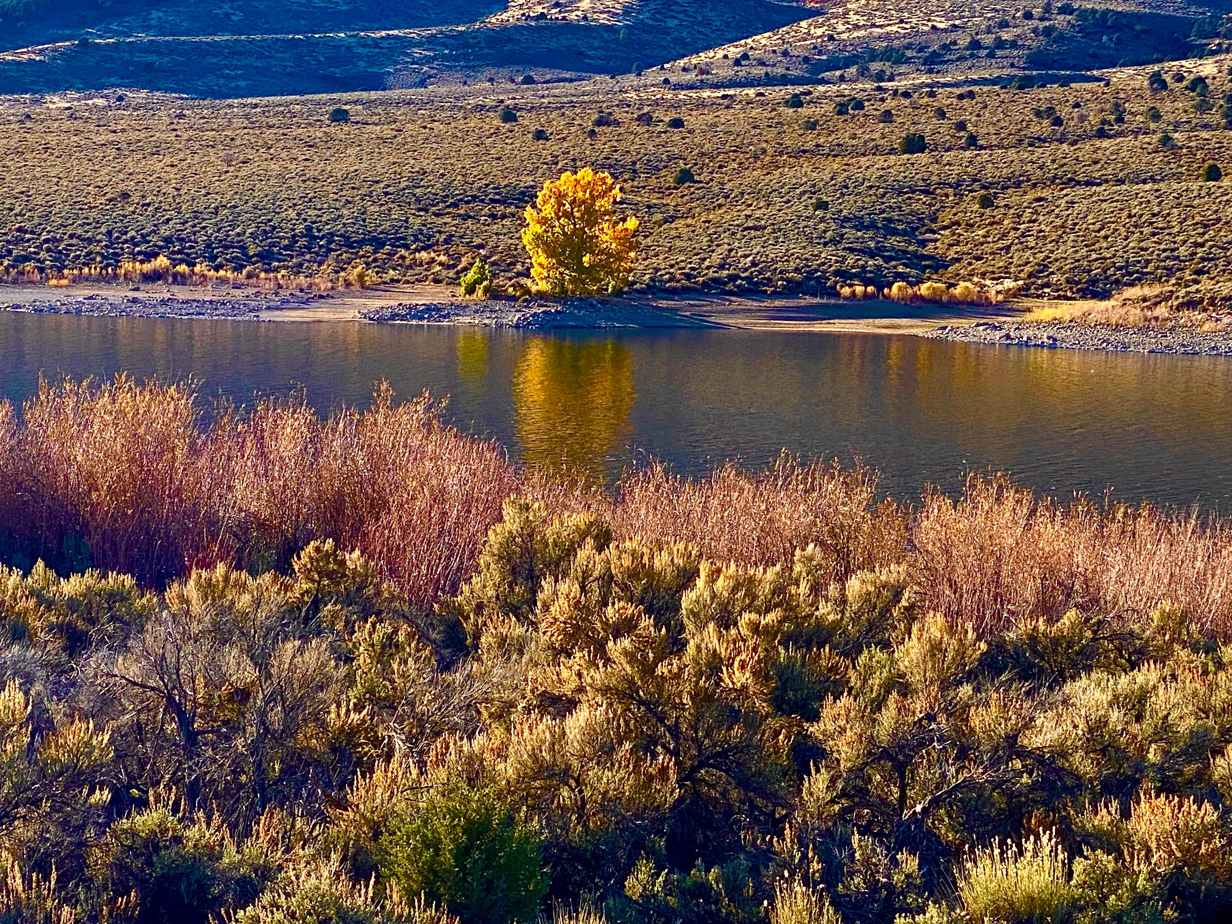 Autumn Glow on the Bridgeport reservoir 