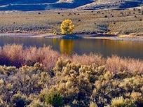 Autumn Glow on the Bridgeport reservoir
