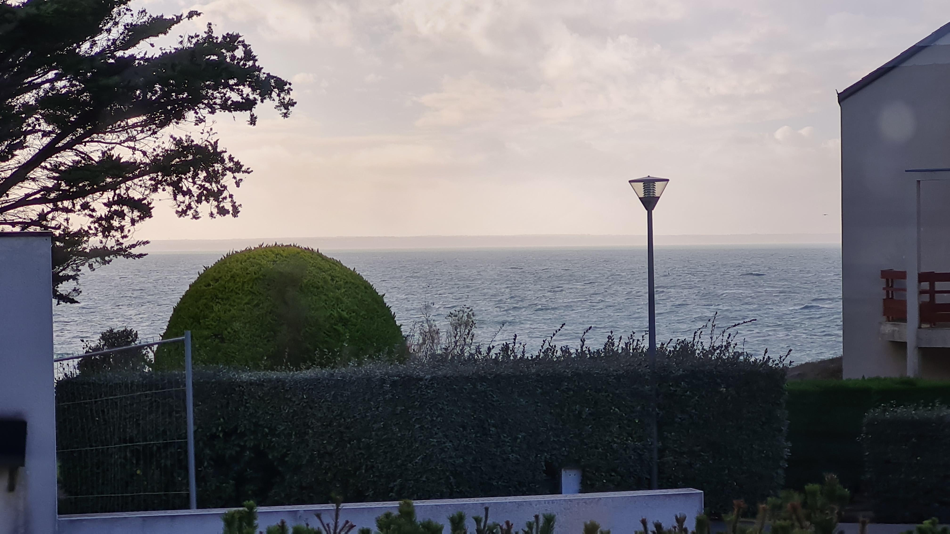 Neben dem Busch links geht es zu einer kleinen Bucht und zum Hafen