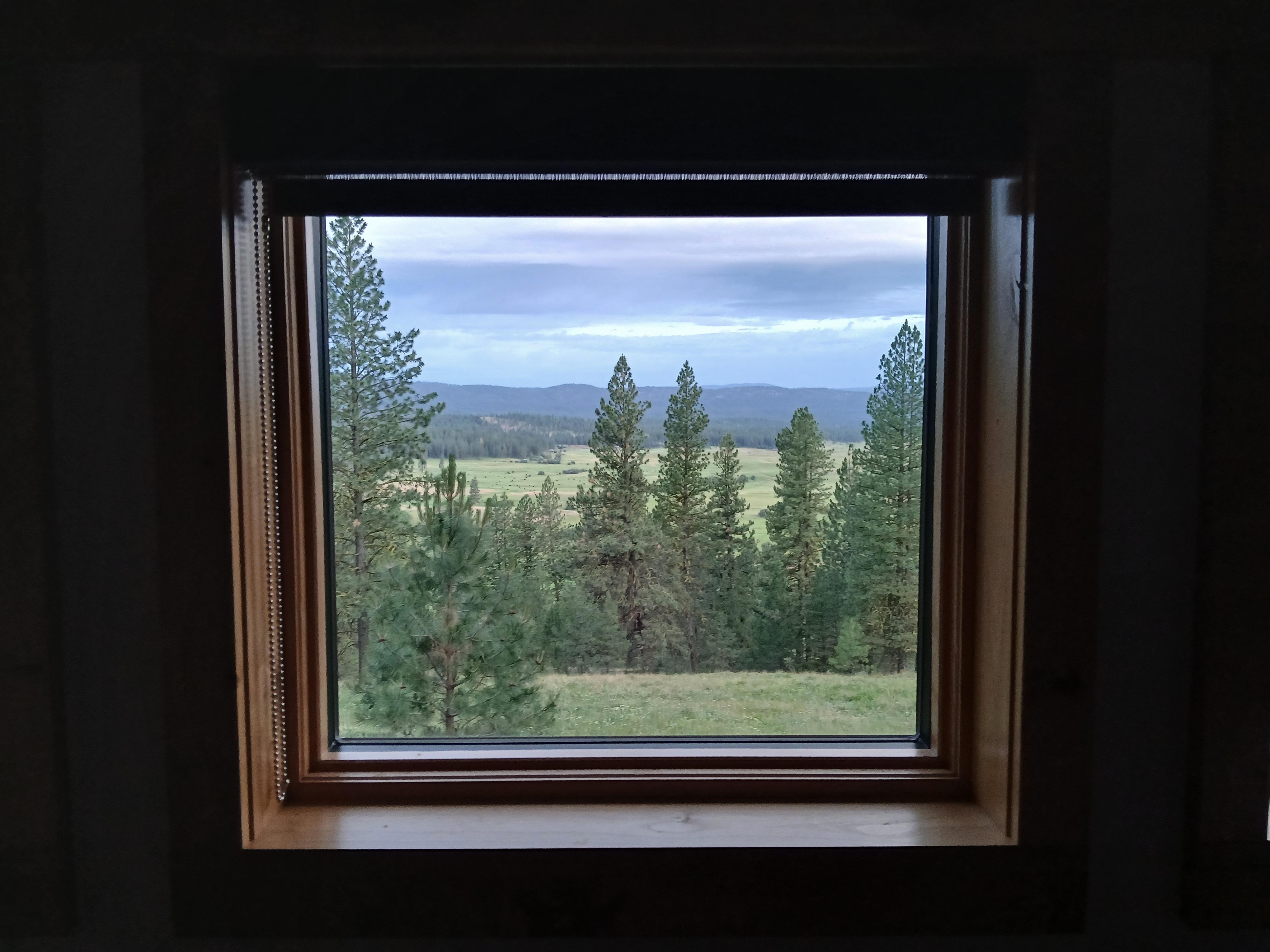 Upstairs window view