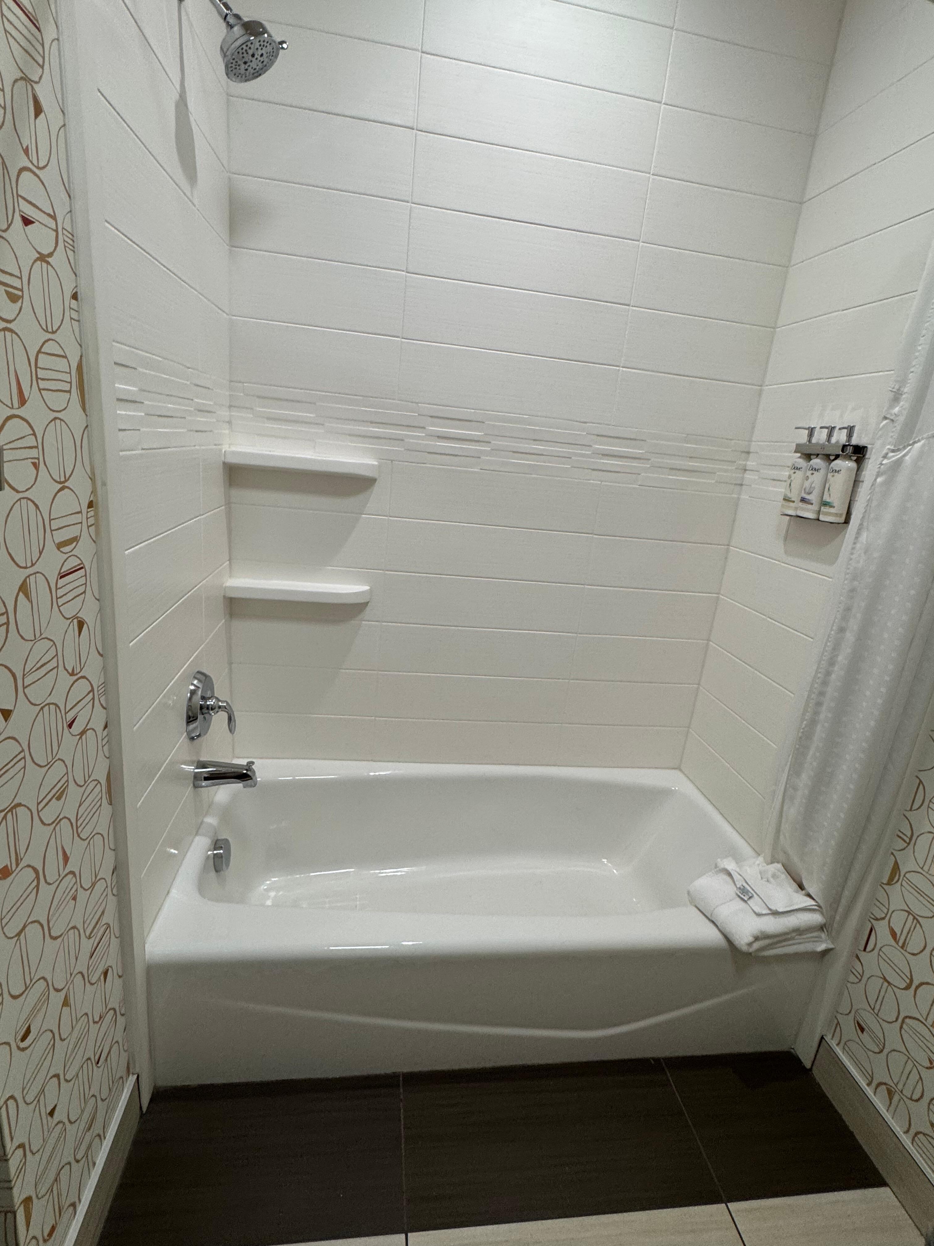 No handicapped accessible bars in shower