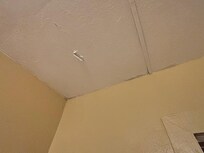Appears mold growing in corners of ceiling.