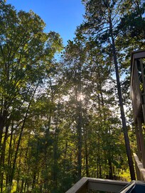 View from the back porch.