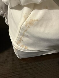 Bedbug hideout