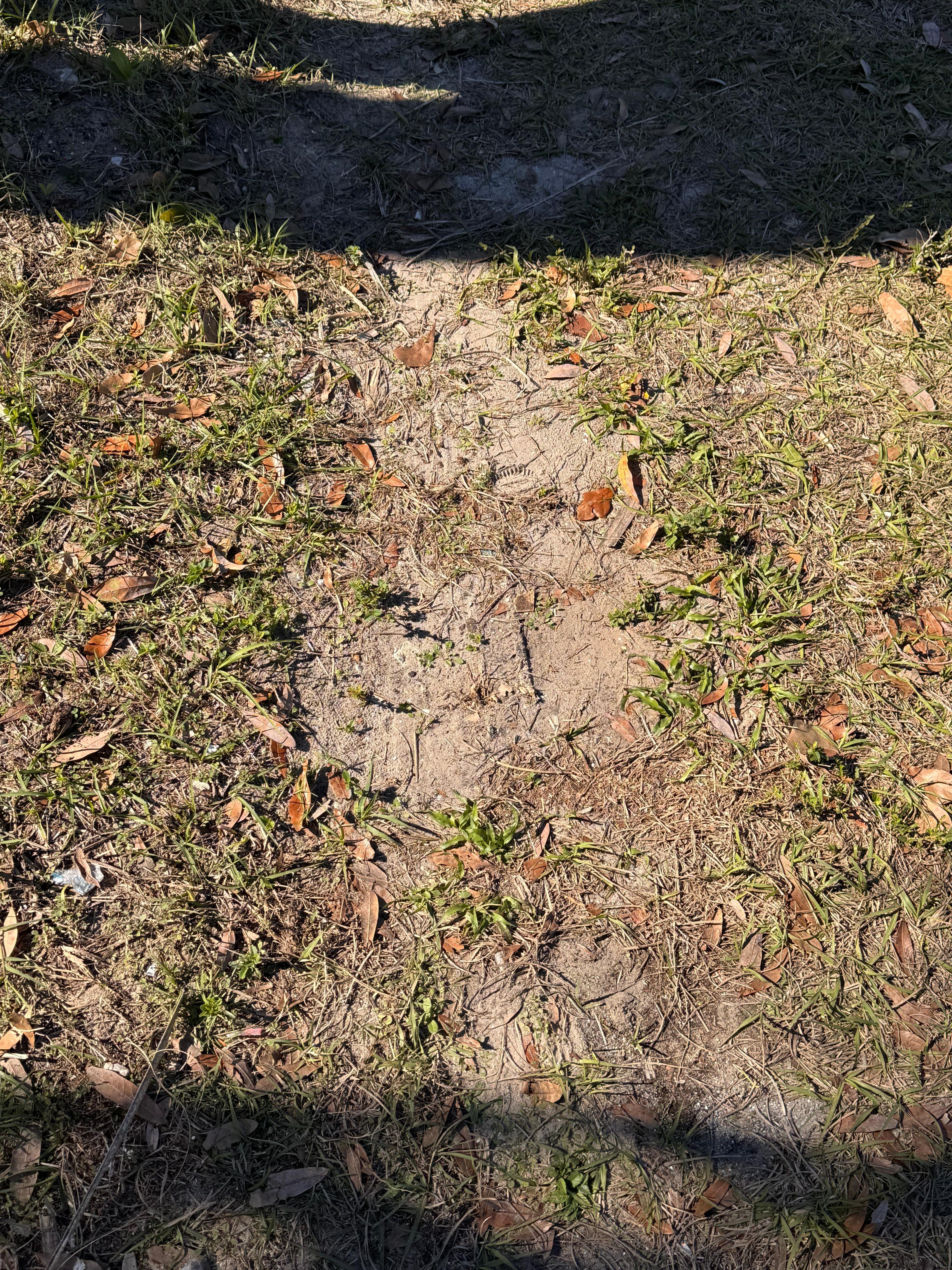 Next morning of NO STORM