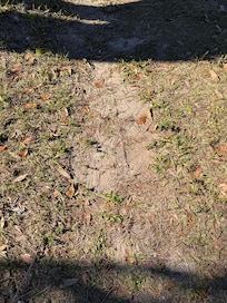 Next morning of NO STORM