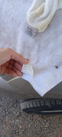 Idk where they got these mitch match towels