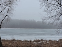 View from living room.