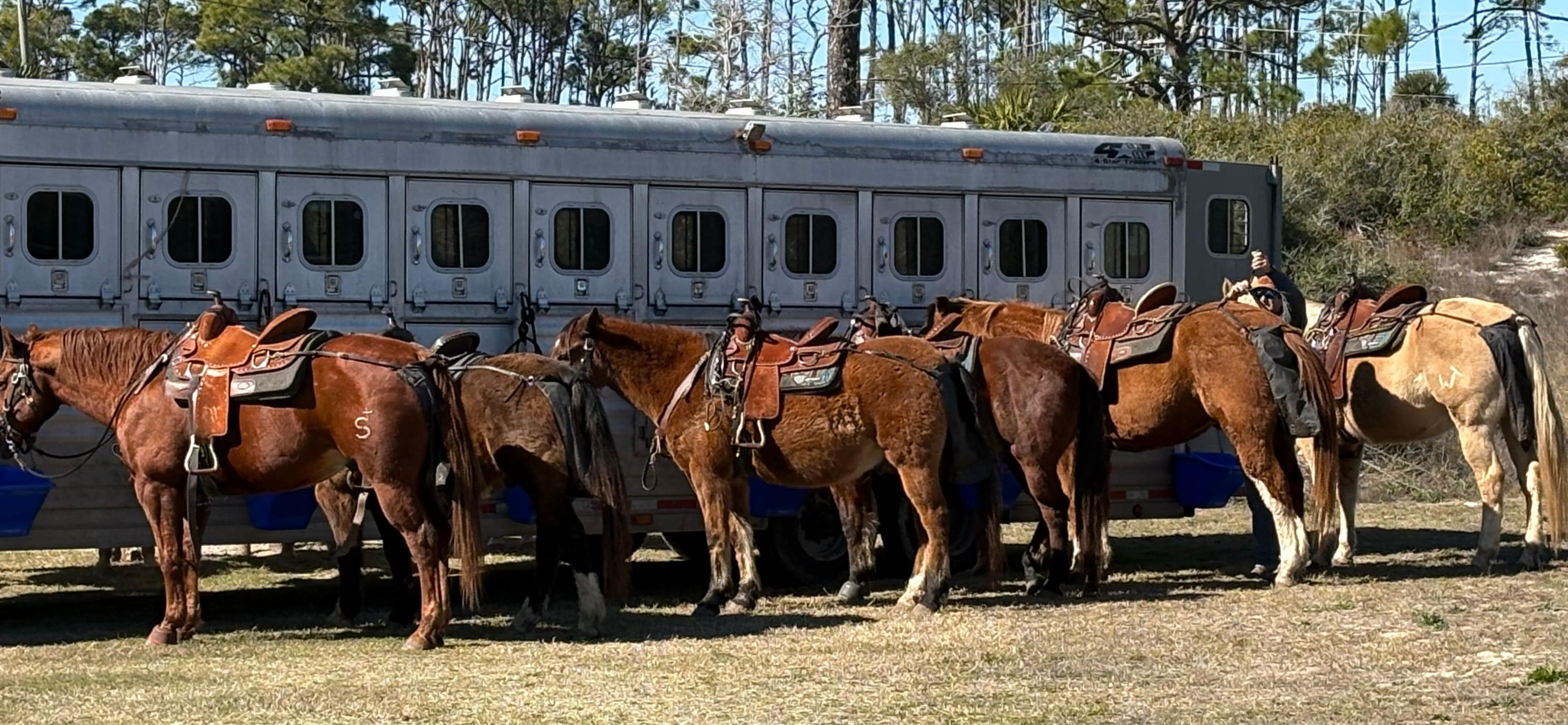 Close to beach for some horseback riding. 
