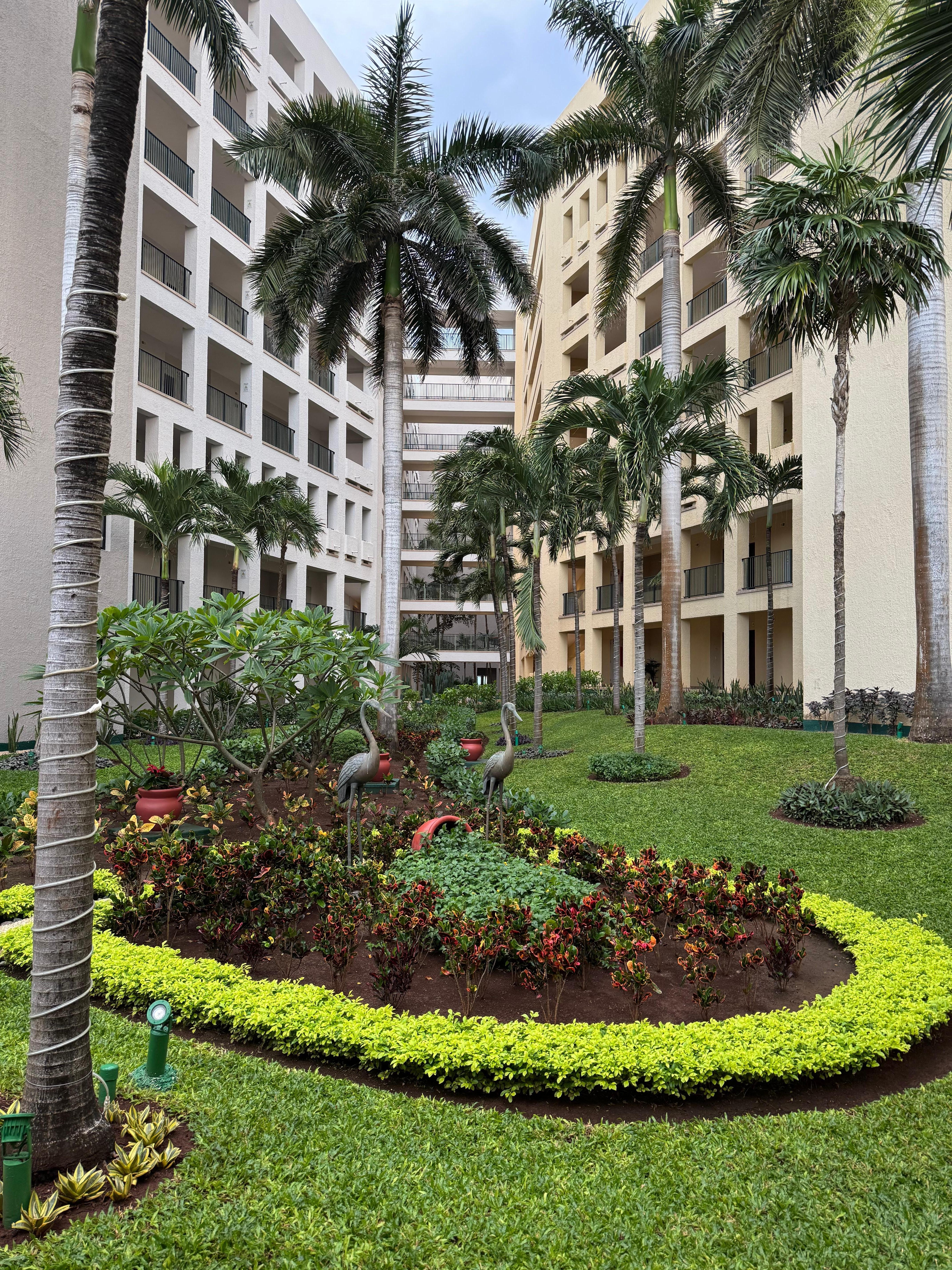 A beautiful garden between buildings
