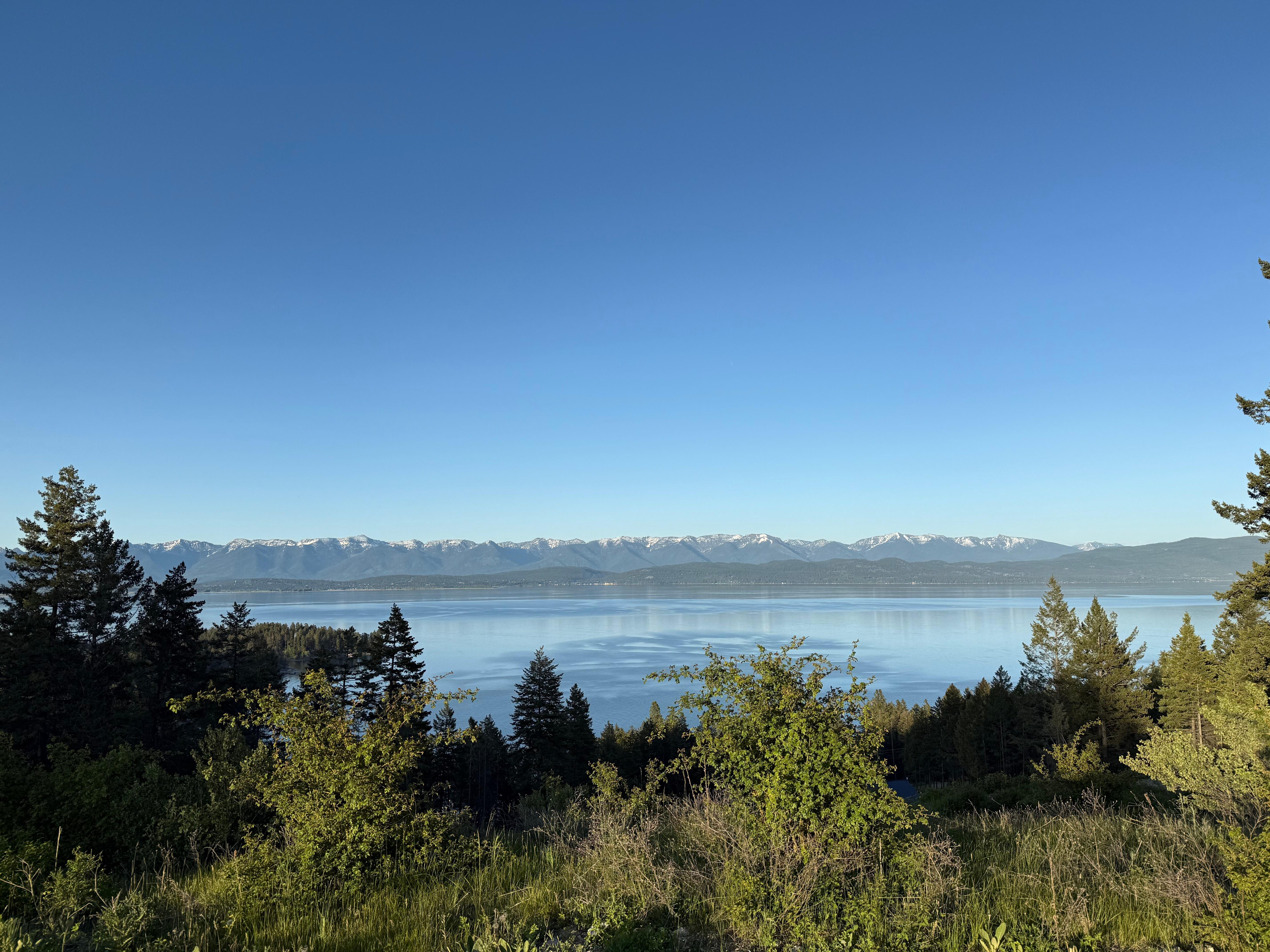 The view from the top of the property.