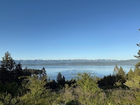 The view from the top of the property.