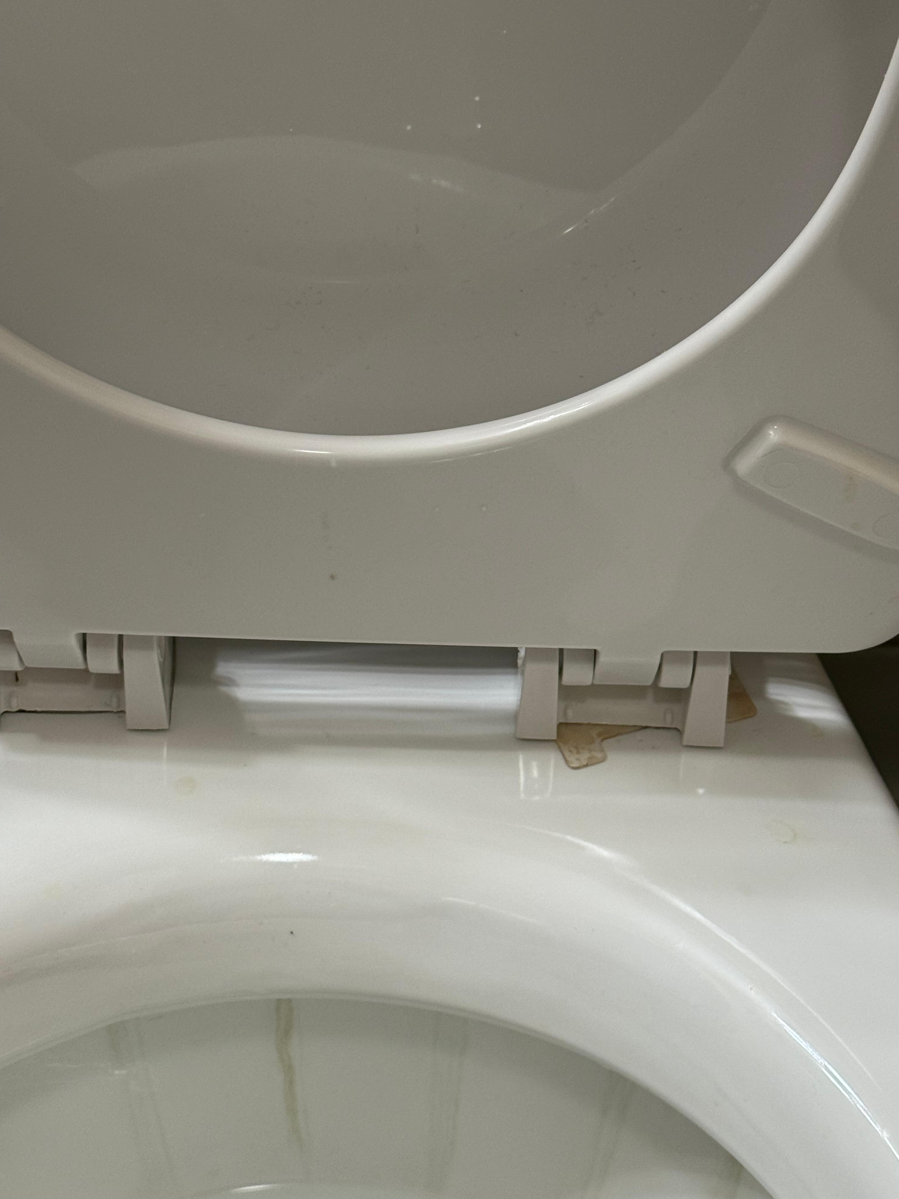 Dirty toilet it was disgusting!!