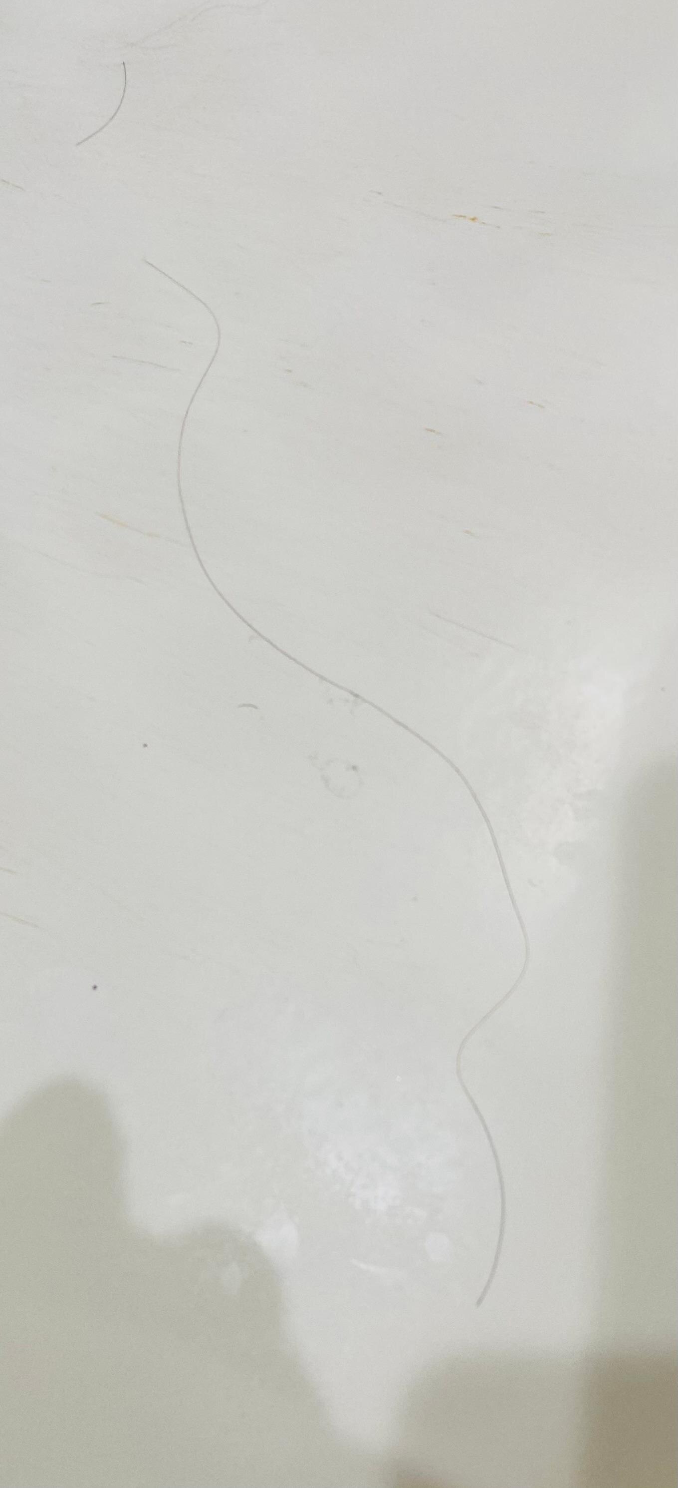 Hair in tub when I got there