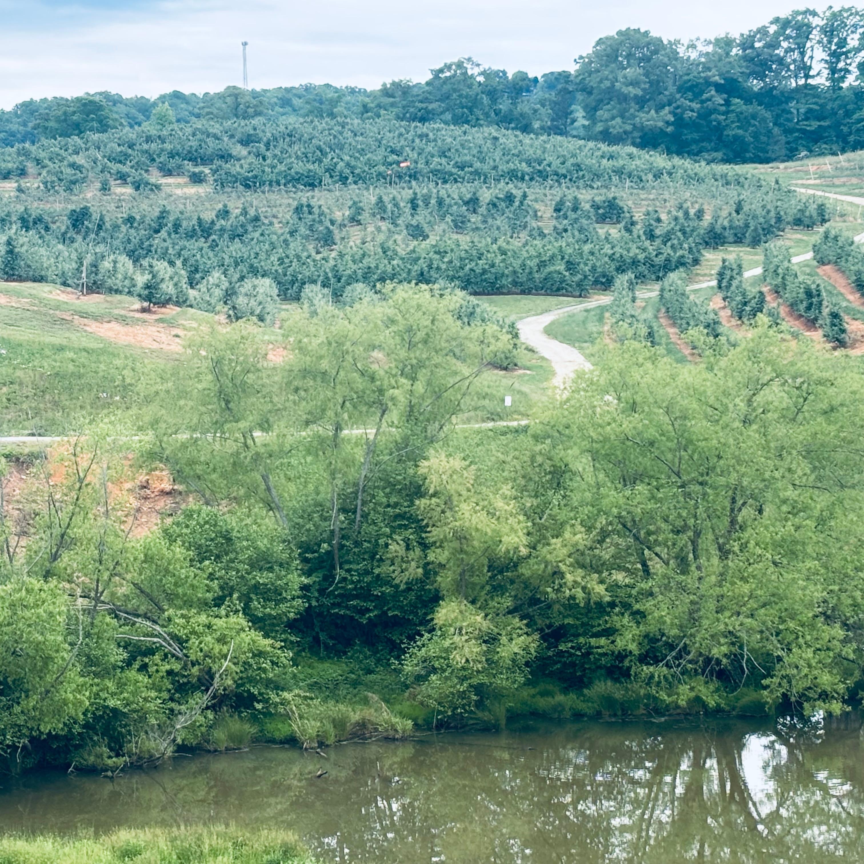 Mercer Orchard was lovely! 