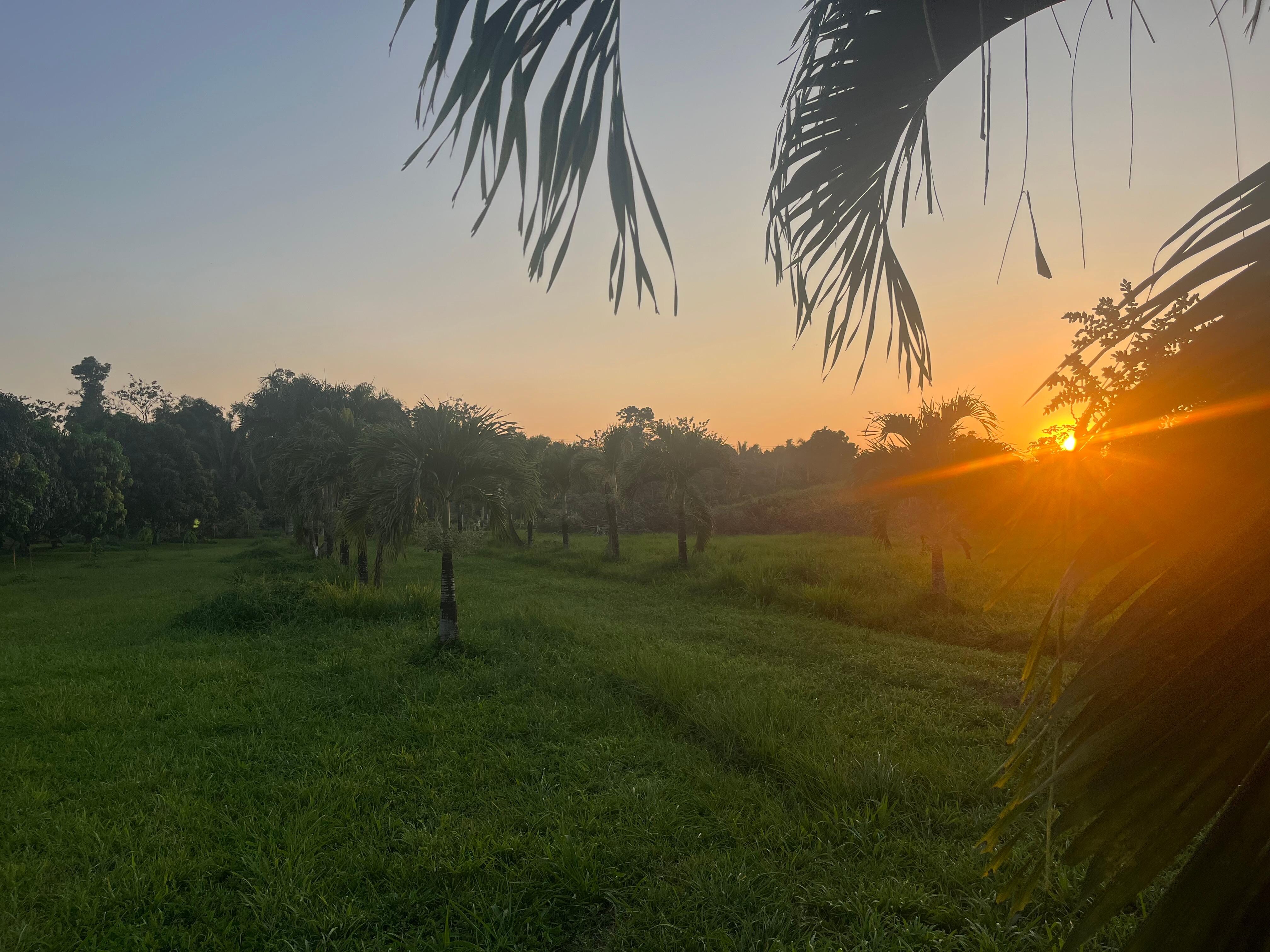 Beautiful sunsets