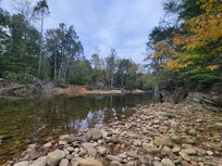 The river ( sorry i forgot the name)