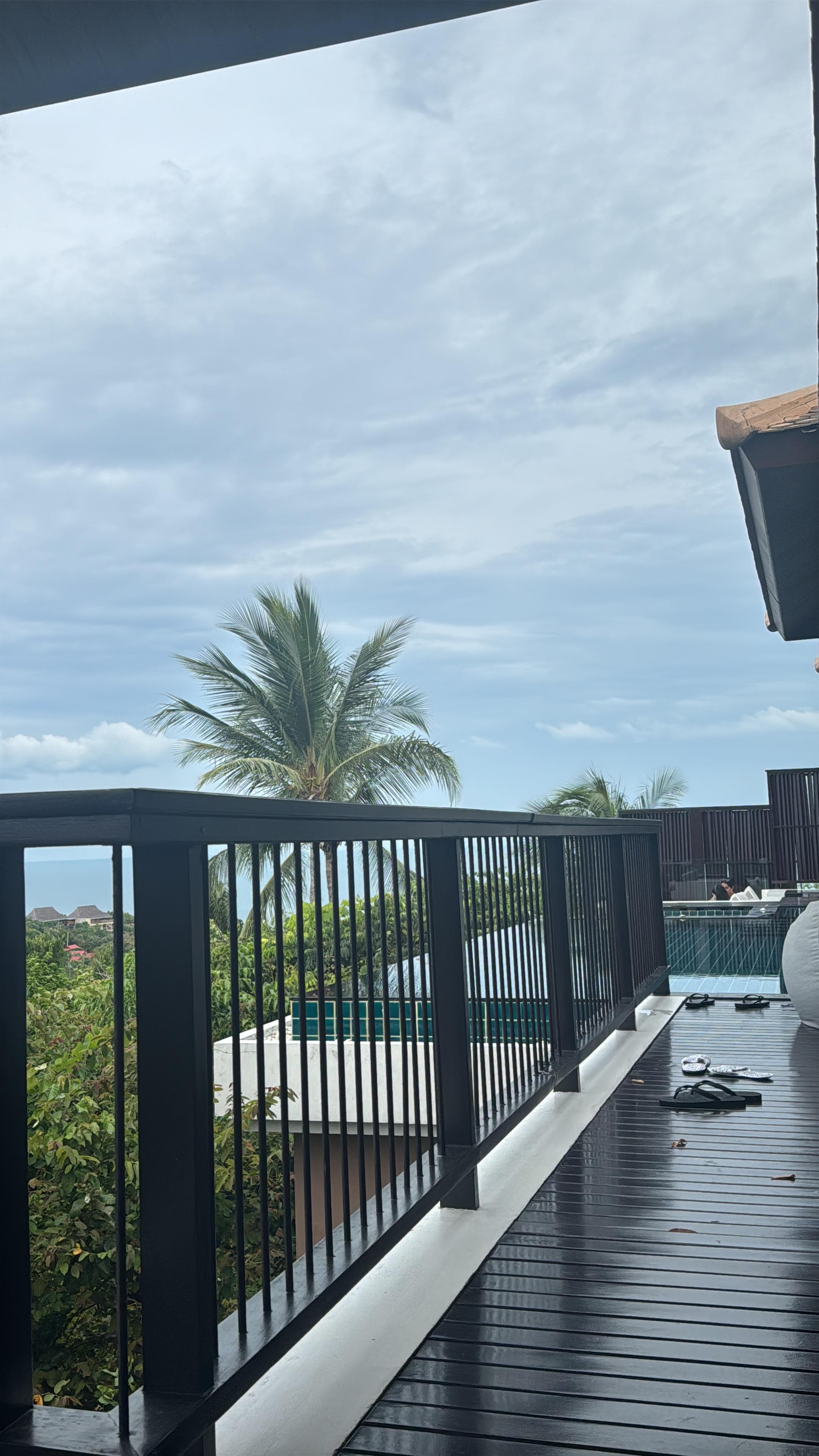 Villa view