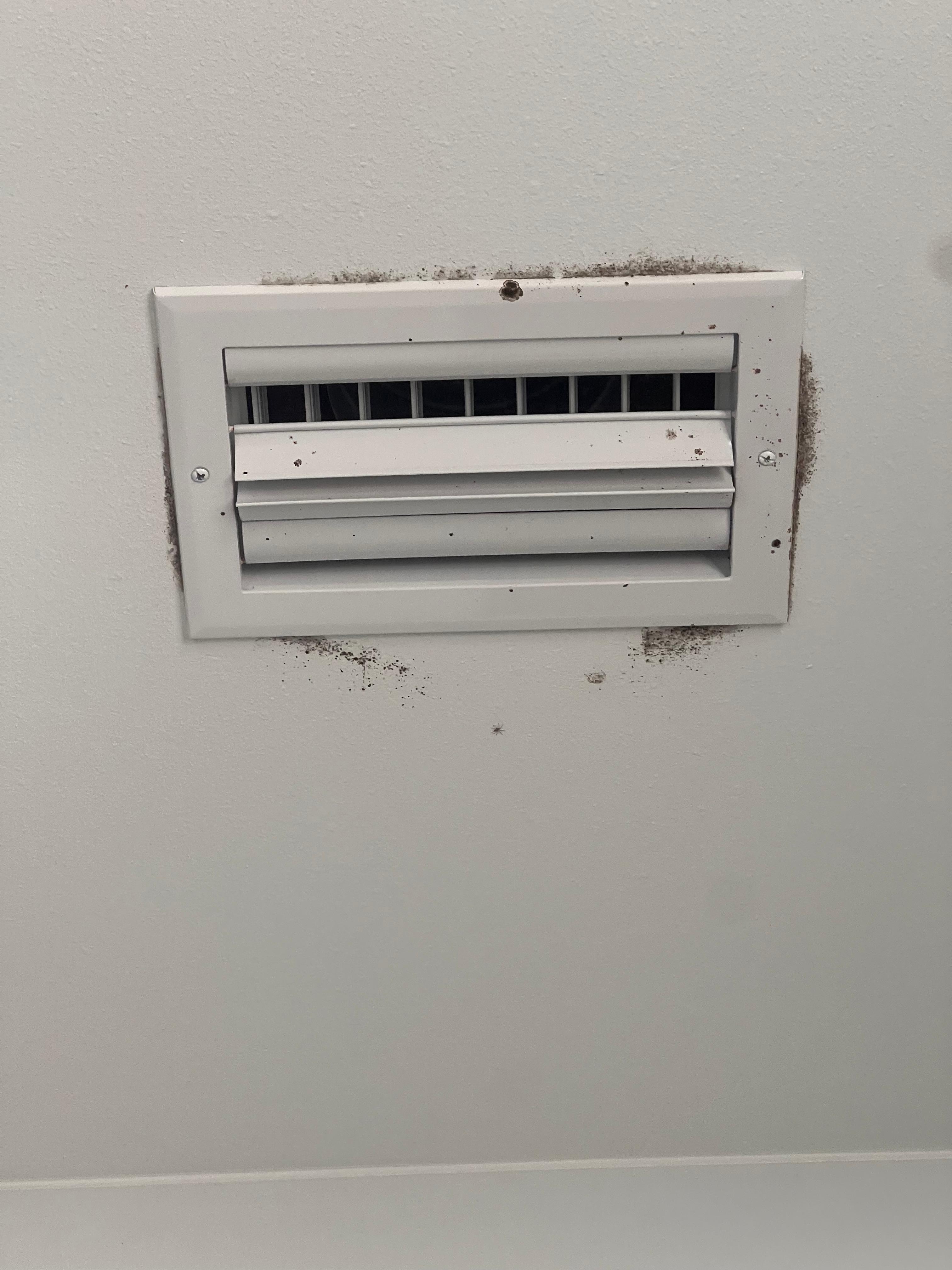 Mold in bathroom and there was mold in other bathrooms 