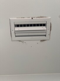 Mold in bathroom and there was mold in other bathrooms