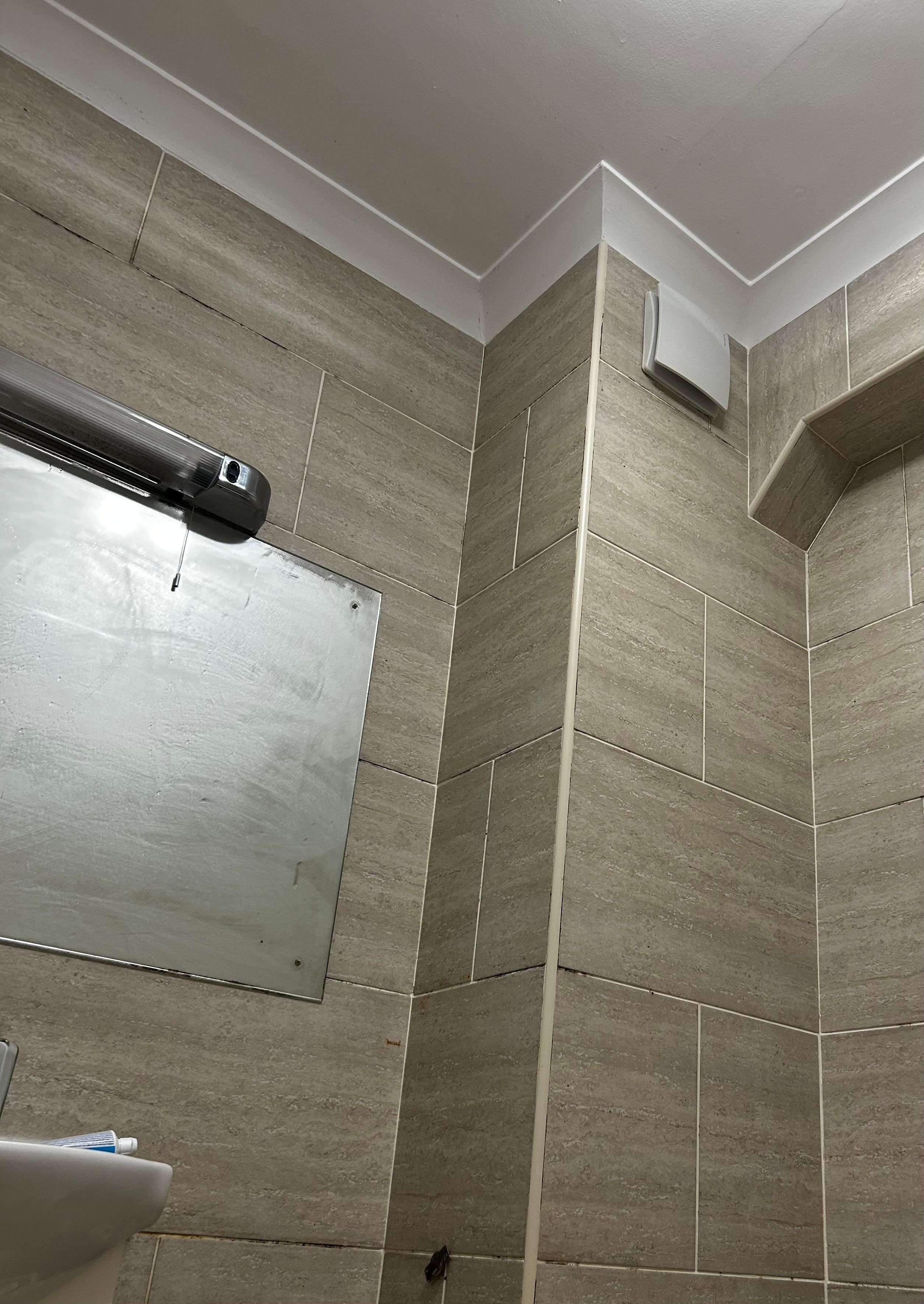 Grouting round the tiles were stained 