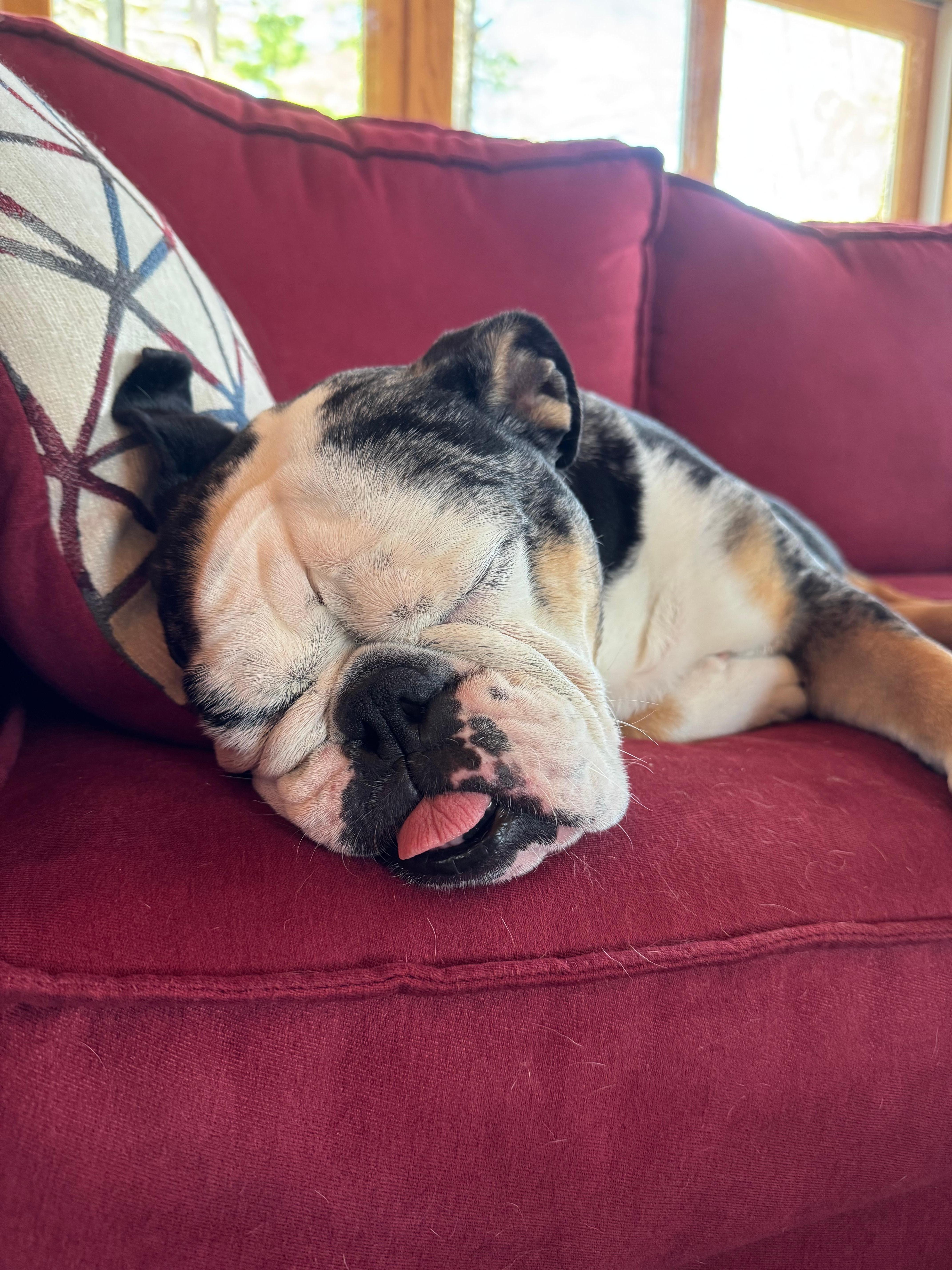 Tuckered out from all that hiking!