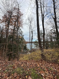 Tree & Lakeview from parking area