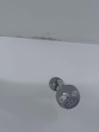 Mold above shower head. You can smell it when you walk in.