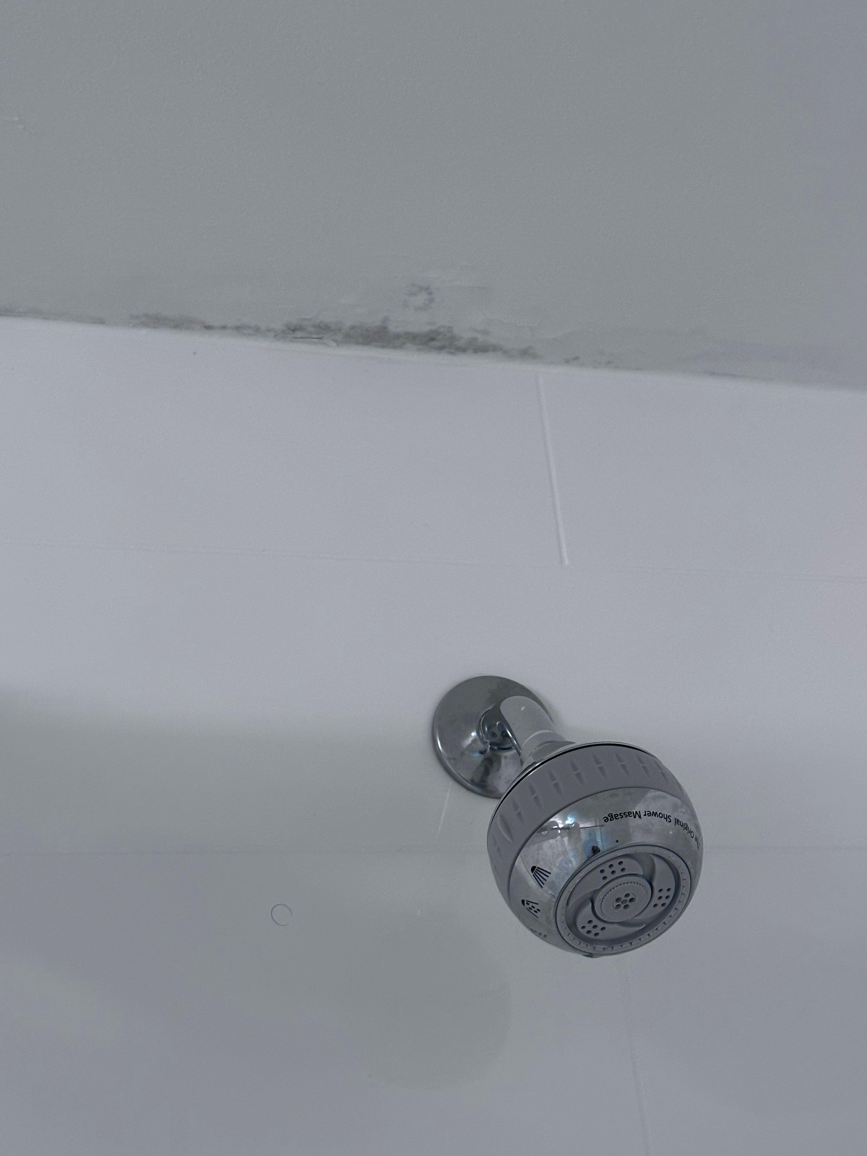 Mold above shower head. You can smell it when you walk in.