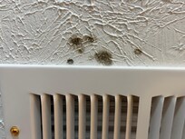 Upstairs bathroom ceiling