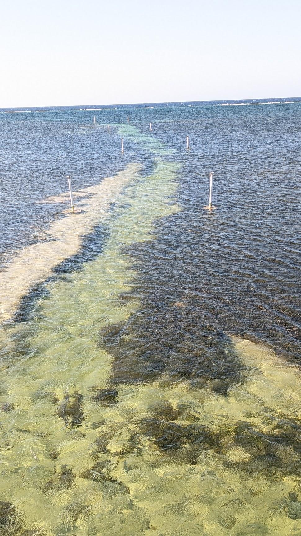 Consider a boat tour for snorkeling; the reef is about 1500' from shore.