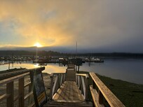 Harbour view