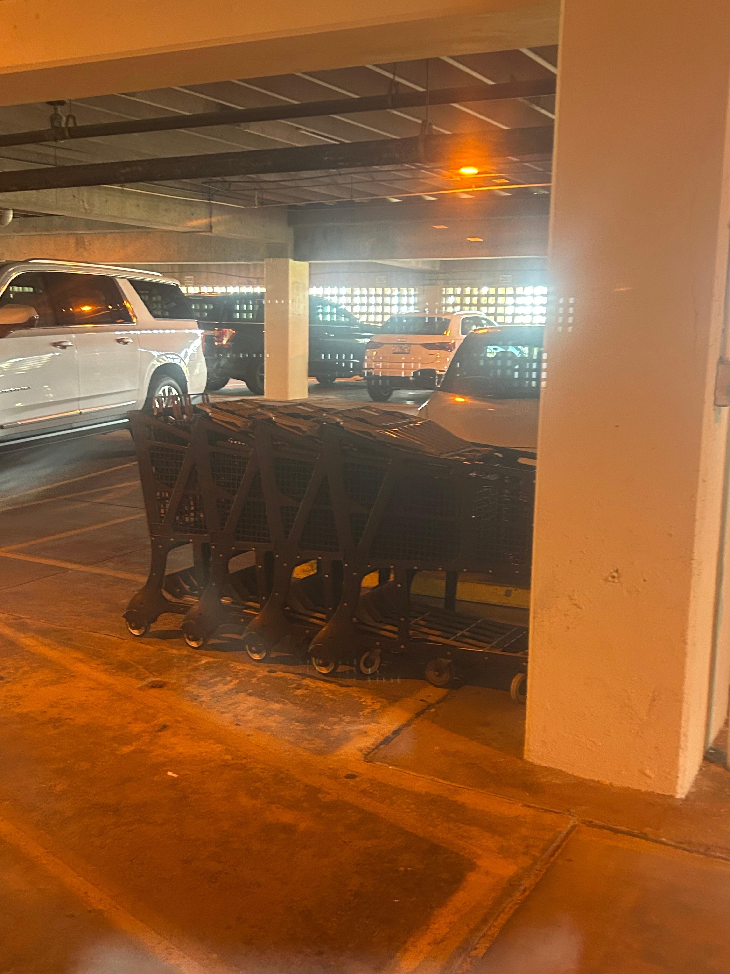 Grocery carts for grocery runs and unloading the car