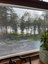 From the kitchen window