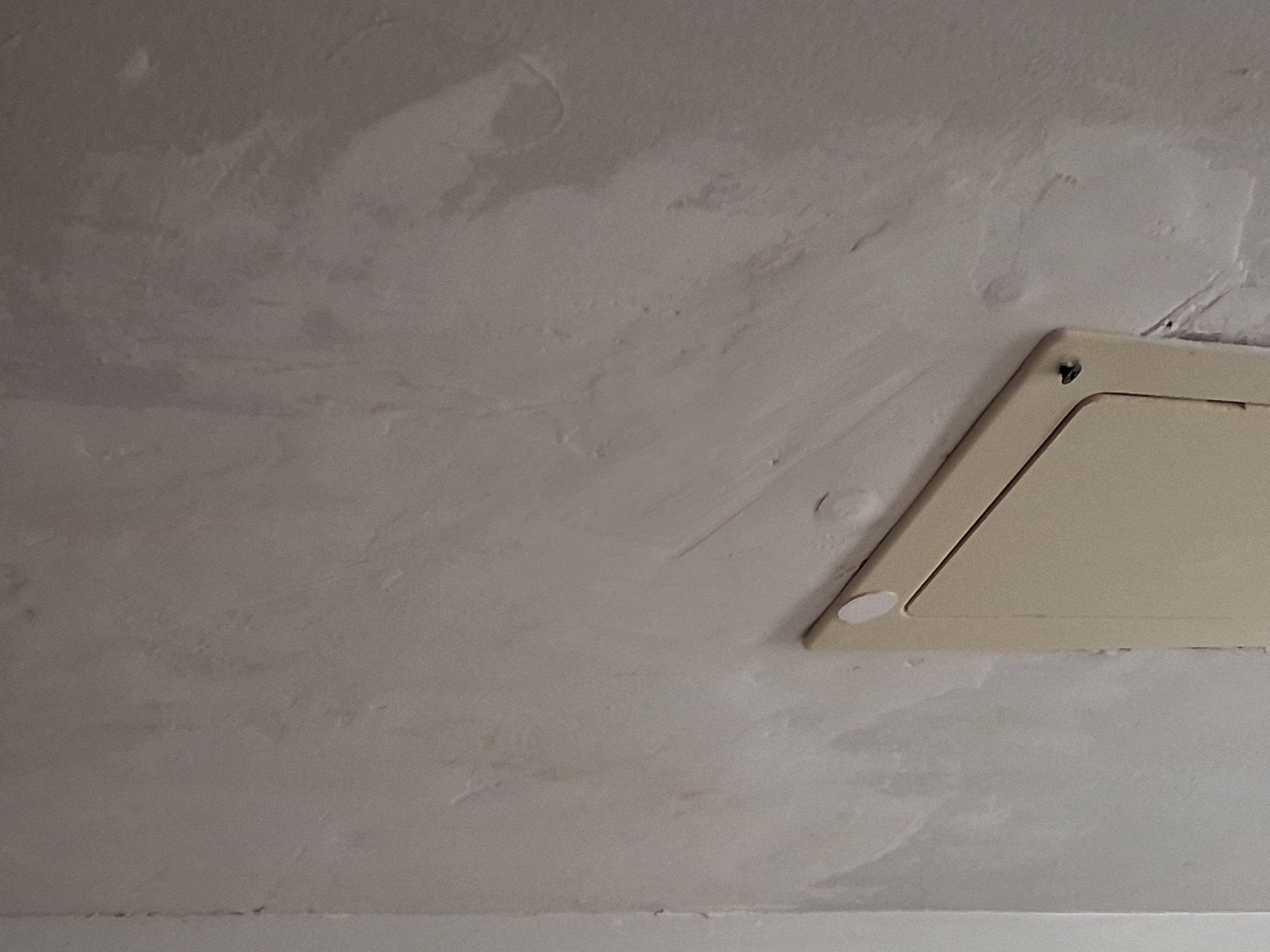 Bathroom ceiling needs to be fixed and painted. 