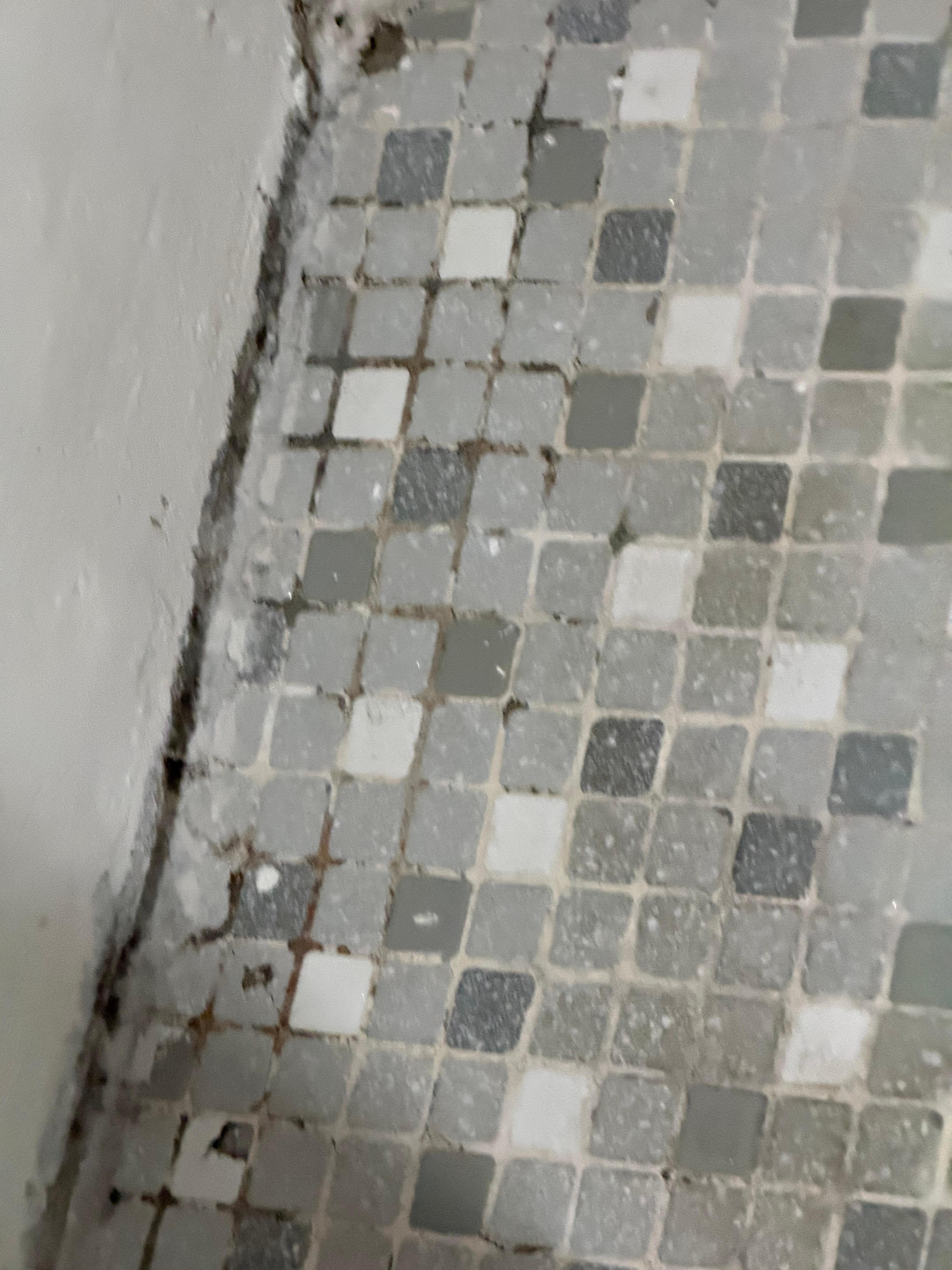 Shower floor
