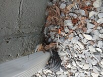 Syringe found in driveway in the first ten minutes of arriving. Glad we spotted it before our 9 year old.