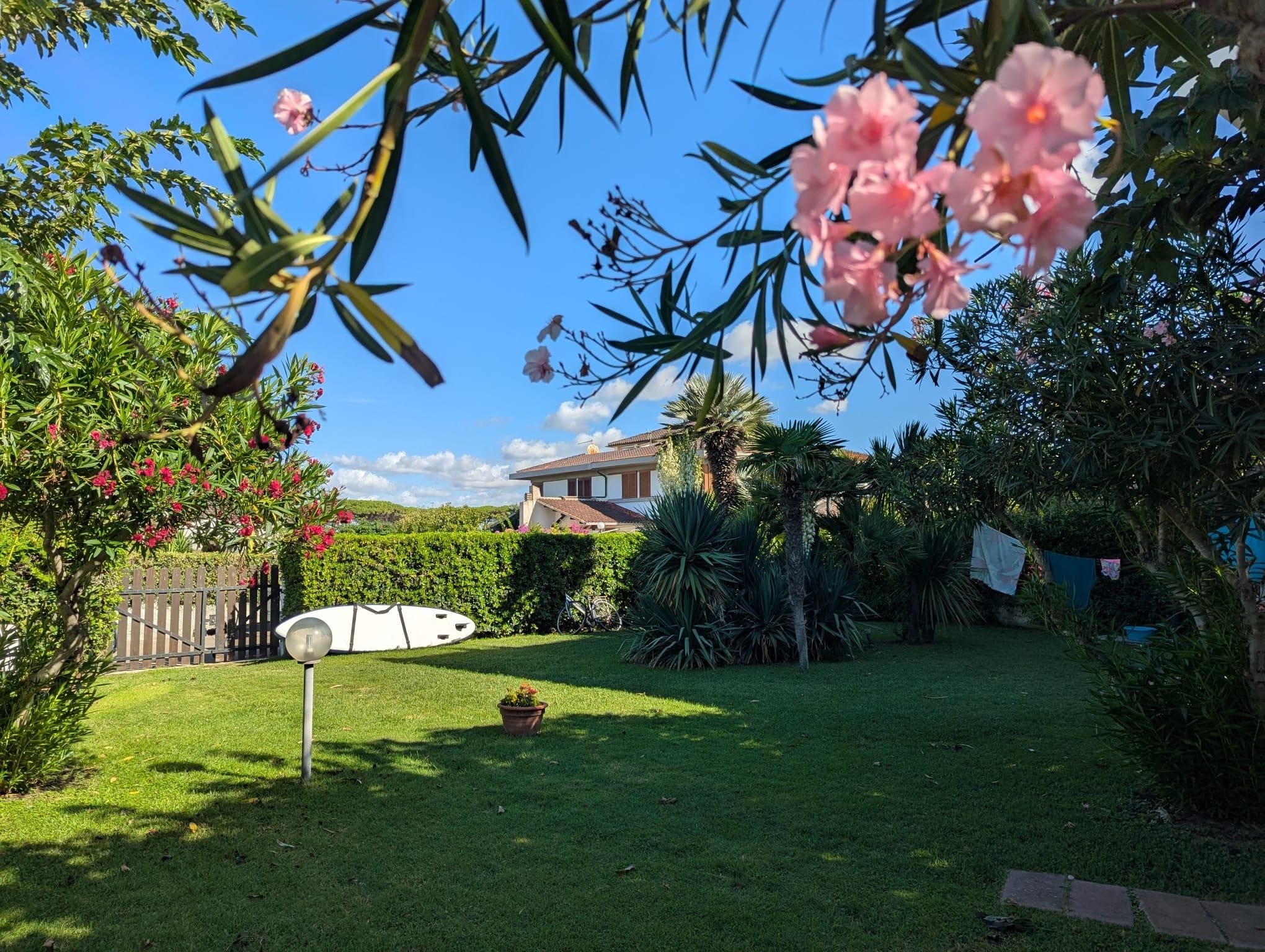 Wunderschöner bewässerter Garten