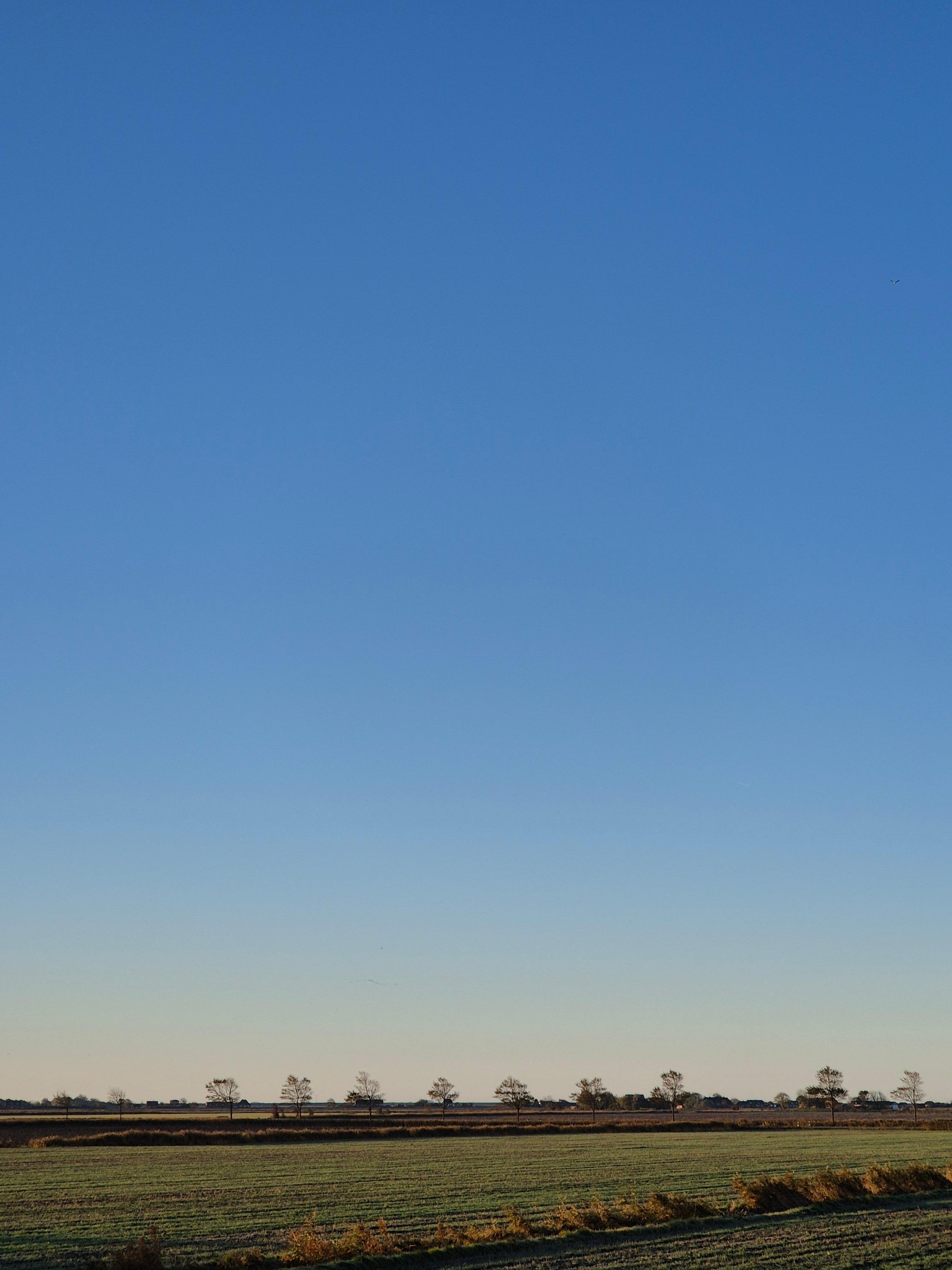 Vor der Haustür: Weite