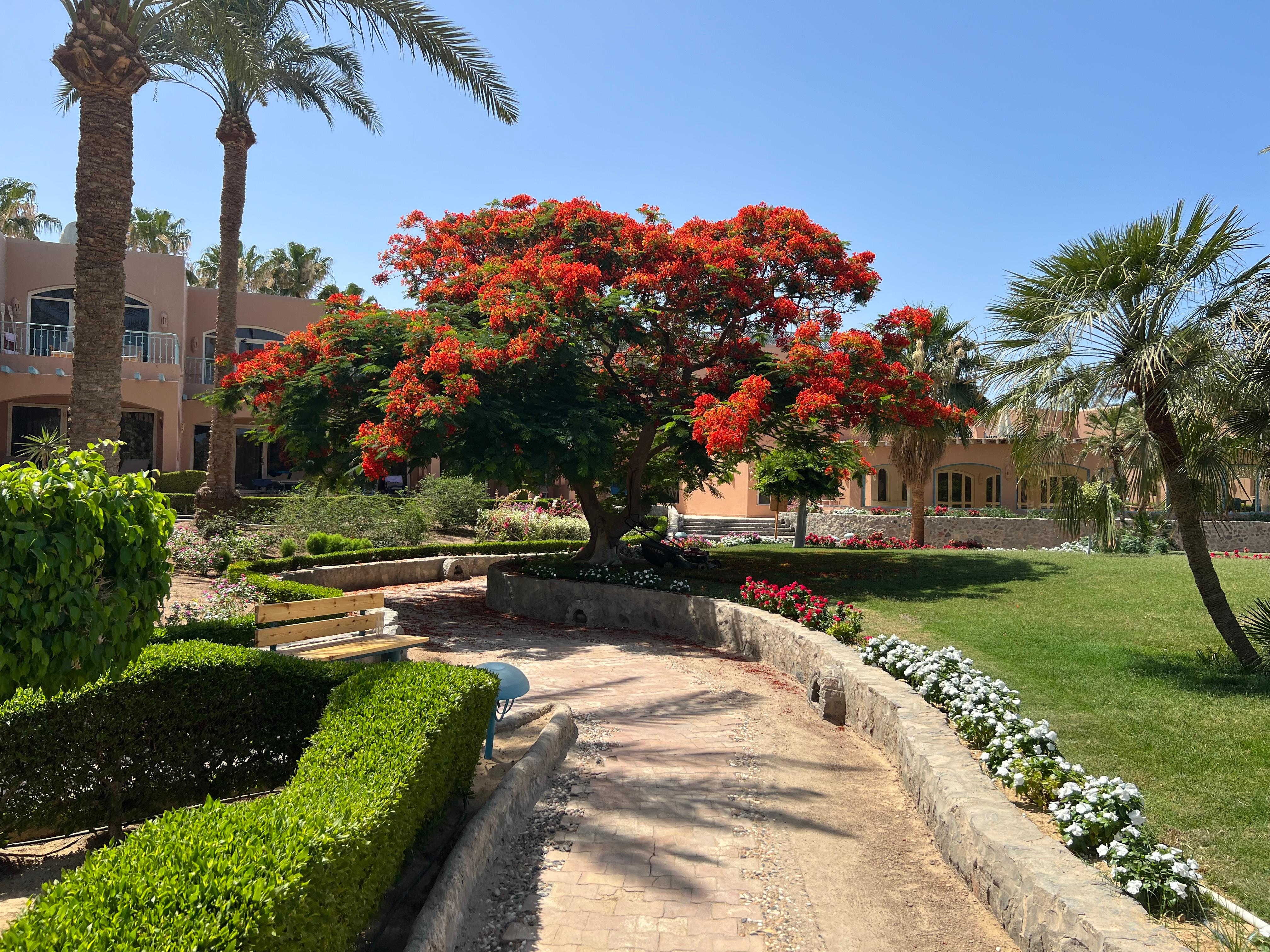 Hotelgarten