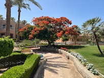Hotelgarten