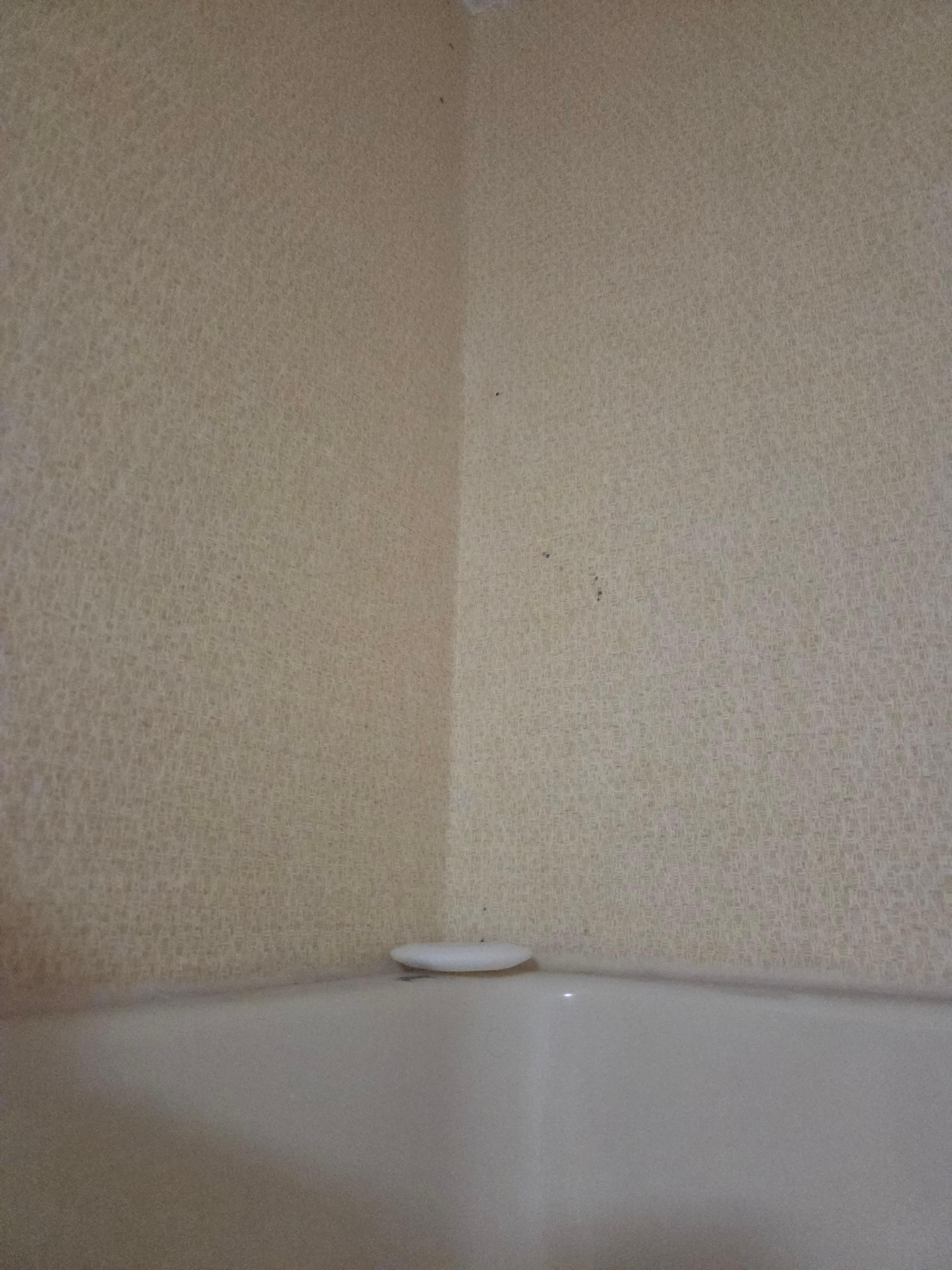 Soap leftover from who knows how long.