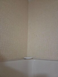 Soap leftover from who knows how long.